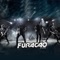 Antes Eu Bebia por Você - Furacão da Vanera lyrics