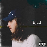 Tragic - Single - Wani