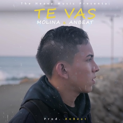 Te vas (feat. Anbeat) - Single
