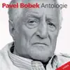 PAVEL BOBEK