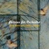 Jean-Marie Machado As Ondas Da Vida (feat. Orchestre Danzas) Pictures for Orchestra (feat. Orchestre Danzas)