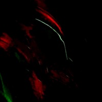 Sickened - Single - Stemodity