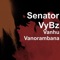 Vandigadza Dare (feat. Jah Prayzah) - Senator VyBz lyrics