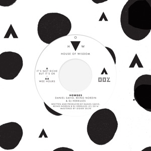 It's Not Riche but It's Ok (feat. DJ Herkules) - Single