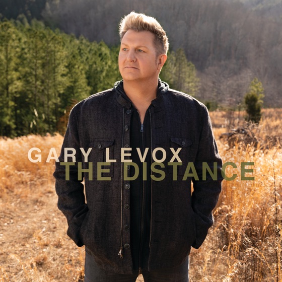 Cover artwork for The Distance