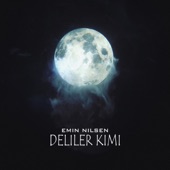 Deliler Kimi artwork