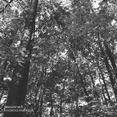 Listen to Inverted Particles - Single by Distant Sun