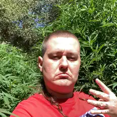 Ouve Mac Chipz, vê vídeos de música, lê a biografia, vê as datas da digressão e muito mais!