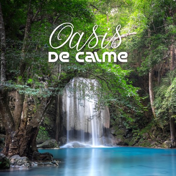 Oasis de calme: Relaxation et méditation, Harmonie du corps et de l'esprit