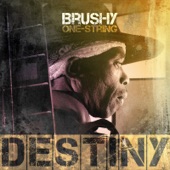 Brushy One-String - Destiny