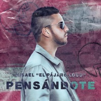 Pensándote - Single - Misael 