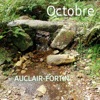 Auclair-Fortin