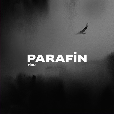 Parafin - Single