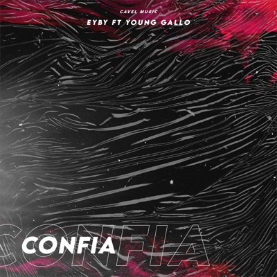 Confia (feat. Young Gallo) - Single