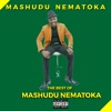 Mashudu Nematoka - Tsheyani Khekhe