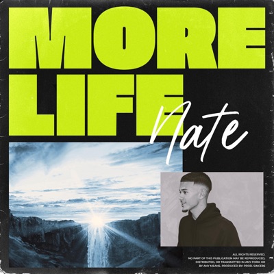 More Life - Single