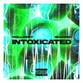 Intoxicated Collapsy & Shamee