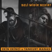 Deli midir Nedir? artwork