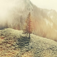 Fading Memories - Single - florice lava