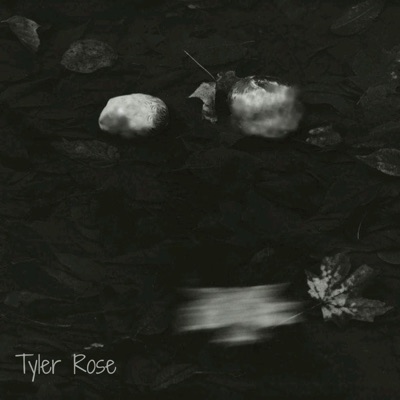 Don't Blame the Rain - EP