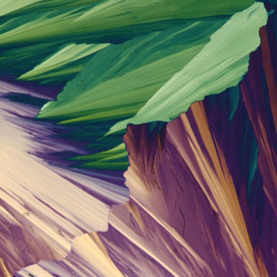 Silent Fall - Single