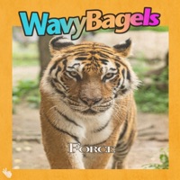 Force - Single - Wavy Bagels