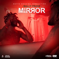 Mirror - Single - Bully Frass