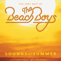 The Beach Boys - Sounds of Summer: The Very Best of the Beach Boys artwork