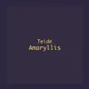 Teide - Amaryllis