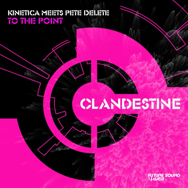 To the Point (Kinetica Meets Pete Delete) - Single