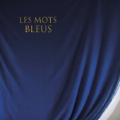 Johan Papaconstantino - Les mots bleus