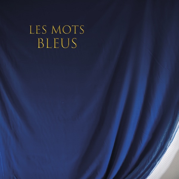 Les mots bleus - Single - Johan Papaconstantino