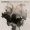 Love Star (feat. Marsha Ambrosius & PJ) - Common lyrics