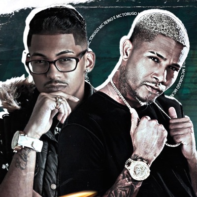 Perfil Brasileiro (feat. MC Torugo) [Brega Funk] - Single