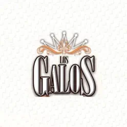 Como Deseo Ser Tu Amor / Mi Corazón Te Extraña / Que Pecado Fue Quererte - Single - Los Galos Como Deseo Ser Tu Amor / Mi Corazón Te Extraña / Que Pecado Fue Quererte - Single - Los Galos