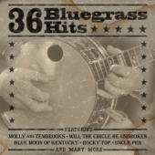 36 Bluegrass Hits - Various Artists