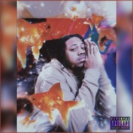 Non-Sense Jay Coast