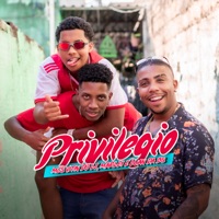 Privilégio - Single - MC Luan da BS, Mc Vitin do LJ, MC Marley & DJ 2W