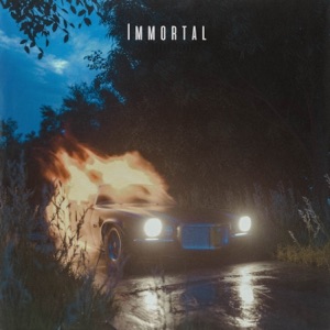 Immortal (feat. ELLIS!) - Single