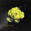 Freedom - Single