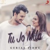 Tu Jo Mila - Single