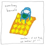 Courtney Barnett - An Illustration of Loneliness (Sleepless in New York)