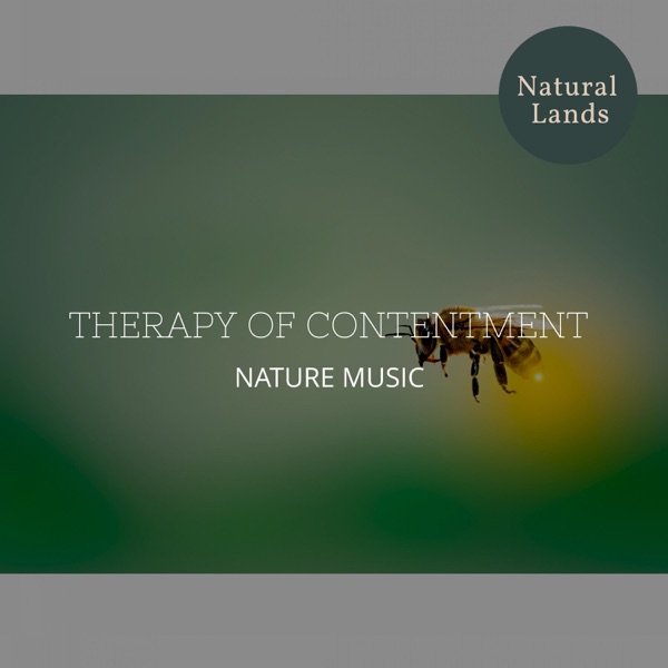 Therapy of Contentment - Nature Music