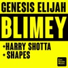 Blimey - Single