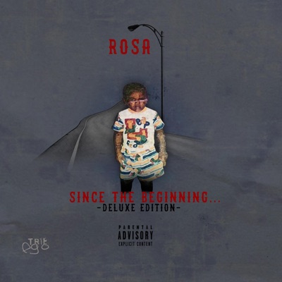 Since the Beginning (Deluxe Edition)