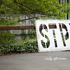 Early Afternoon - STP