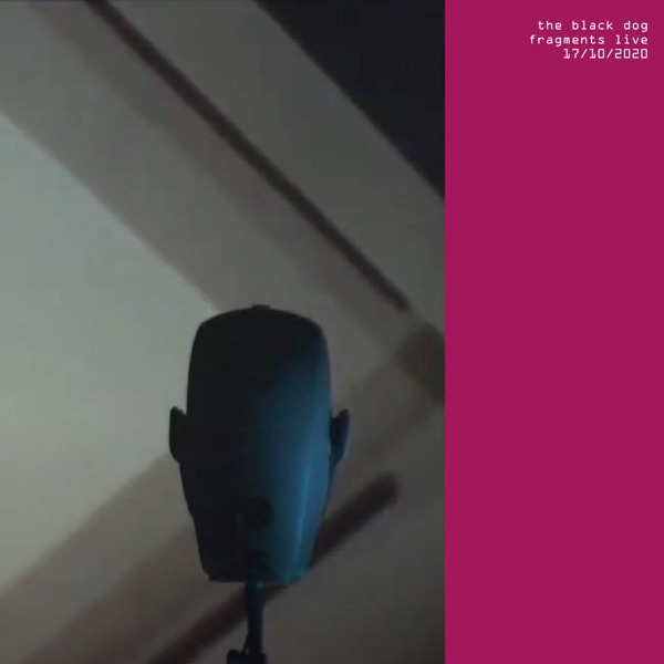 Fragments Live