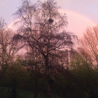 From Gold to Grey - Single