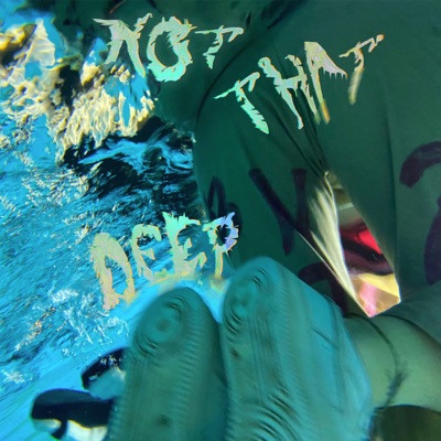 Not That Deep (feat. Jerome Farah) - Single
