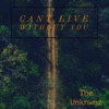 Can't Live Without You - Single